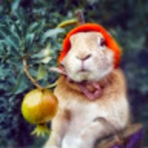 Meet your Posher, Chen